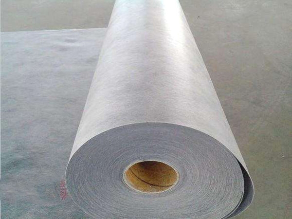 山东sbs防水卷材批发厂家