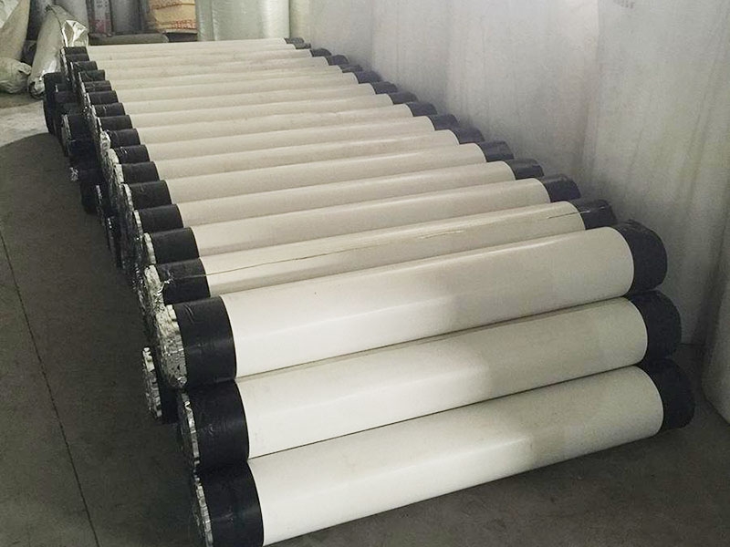 山东SBS防水卷材批发厂家